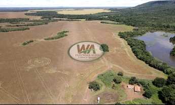 Imagem 3: Fazenda plantando soja em Porto Nacional- TO