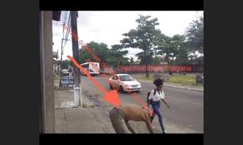 Imagem 3: Aluga-se um ponto comercial