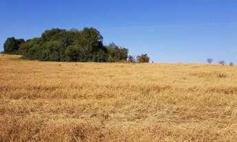 Imagem 2: VACARIA - Chácara - SANTA TEREZINHA