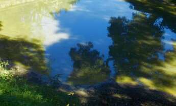 Imagem 6: Sitio em Secretário