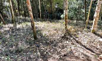 Imagem 7: Lote 1300 m², Pasargada, Nova Lima