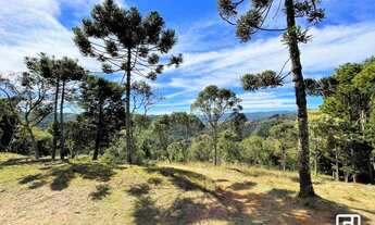 Imagem 5: Terreno à venda, 2410 m² por R$ 1.566.500,00 - Condomínio Iporanga - Campos do Jordão/SP