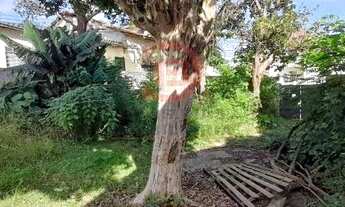 Imagem 2: Terreno plano 10x50m - Vila Ré