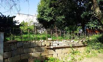 Imagem 5: Porto Alegre - Terreno Padrão - Vila Ipiranga