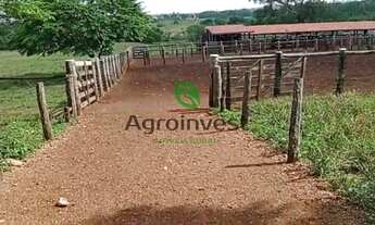 Imagem 8: Fazenda em São Geraldo do Araguaia-PA