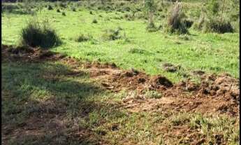 Imagem 3: Vendo terreno barato