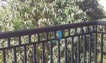 Imagem 2: Apartamento, 74 m² - venda por R$ 600.000,00 ou aluguel por R$ 2.200,00/mês - Vila Castelo