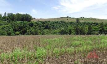 Imagem 3: Área à venda, 24,000 m² por R$ 660.000 - Campo Largo - Santo Antônio da Platina/PR