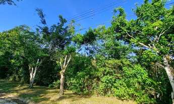 Imagem 3: Terreno à venda, 500 m² - Jardim São Lourenço - Bertioga/SP