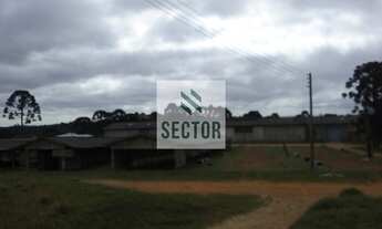 Imagem 5: Galpão / Depósito / Armazém em Colônia Zacarias - São José dos Pinhais