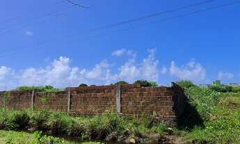 Imagem: Vendo Area em Cabebelo / Jacaré