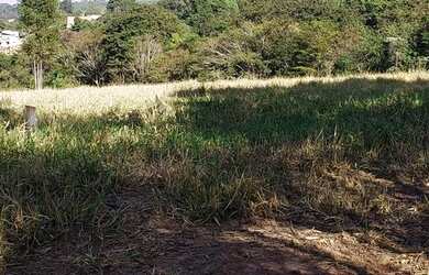 Imagem 4: Sítio para venda tem 52000 metros quadrados em Centro - Botucatu - SP