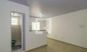 Imagem 3: Apartamento para Aluguel - Bonsucesso, 1 Quarto, 22 m2