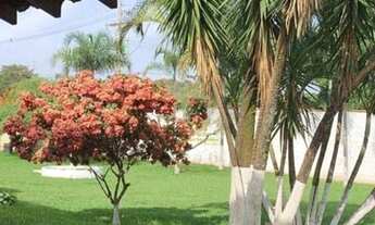 Imagem 4: Chácara com 6 dormitórios à venda, 6000 m² por R$ 1.600.000 - Jardim Monte Carlo - Franca