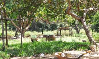 Imagem 6: FAZENDA COM 526HA, NA BEIRA DO ASFALTO, 155KM DE BRASILIA