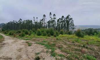 Imagem 7: Sitio 18 alqueires - Ipeúna - SP