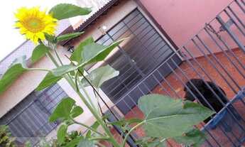 Imagem: Terreno à venda, 260 m² por R$ 1.200.000,00