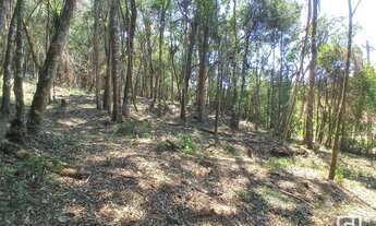 Imagem 5: Terreno à venda, 1940 m² por R$ 280.000,00 - Nova Capivari - Campos do Jordão/SP