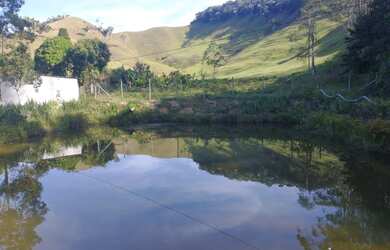 Imagem 7: Fazendinha região de marechal floriano 14 alqueires