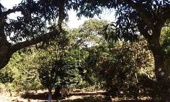 Imagem 5: Chácara com 4 dormitórios à venda, 13702 m² por R$ 1.200.000,00 - Sagrado Coração de Jesus