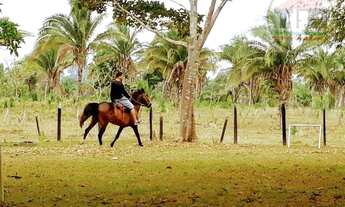 Imagem: Chácara com 3 dormitórios à venda, 484000