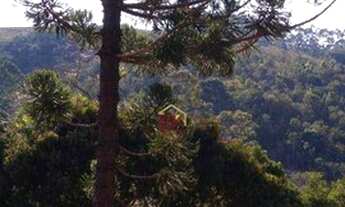 Imagem 3: Chácara com 1 dormitório à venda, 13700 m² por R$ 290.000,00 - Zona Rural - Santa Branca/S