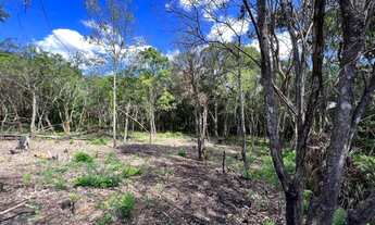 Imagem 6: Promoção de sitio em Gravatai