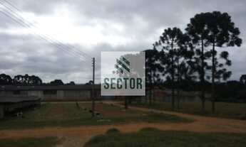 Imagem 6: Galpão / Depósito / Armazém em Colônia Zacarias - São José dos Pinhais