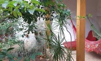 Imagem 4: Apartamento - Jardim Nova Europa - Campinas