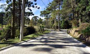 Imagem 5: Terreno à venda, 1446 m² por R$ 1.300.000,00 - Colinas Capivari - Campos do Jordão/SP