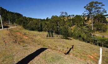 Imagem: Terreno à venda, 1446 m² por R$ 1.300.000,00