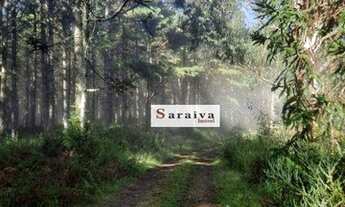 Imagem 7: Fazenda à venda, 3200 hectares por R$ 260.000.000 - Área rural - Cambara/PR