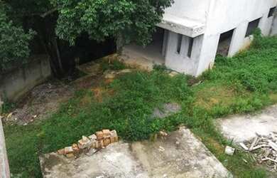 Imagem 2: Casas em área verde