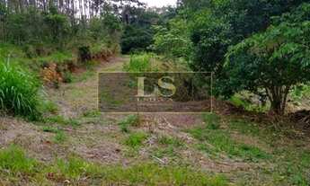 Imagem 5: SÍTIO EM SÃO ROQUE COM 4,5 ALQUEIRES