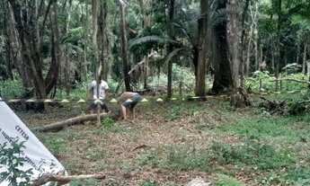 Imagem 5: Terreno em Ubatumirim