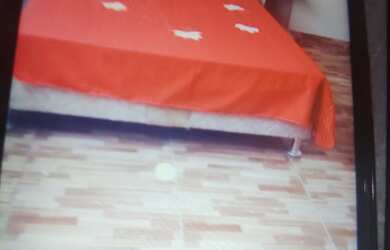 Imagem 6: Vendo 2 casa e uma loja