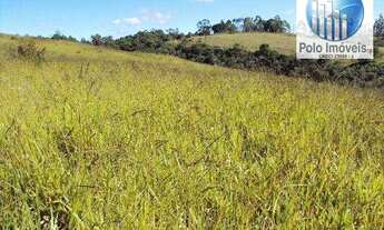 Imagem 2: Sítio 11 Alq. paulista, Para Café, Milho, Soja - Jacuí MG