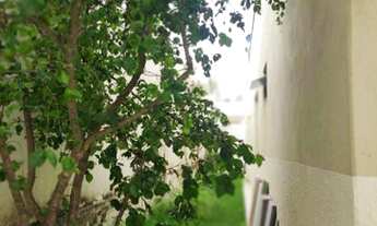 Imagem 7: Casa com 3 dormitórios à venda por R$ 430.000 - Quinta dos Ipês - São Sebastião/DF