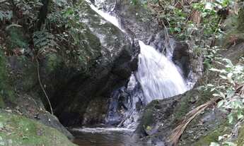 Imagem: Terreno - São Pedro da Serra RJ