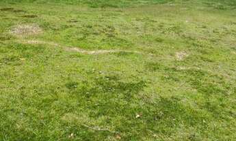 Imagem 2: Terreno aclive à venda no Gênesis II - 559,1 m² - Alphaville