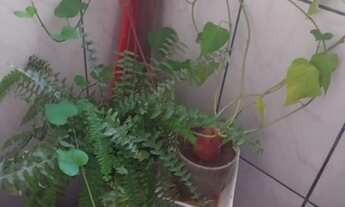 Imagem 2: Apartamento para venda possui 100 metros quadrados com 2 quartos