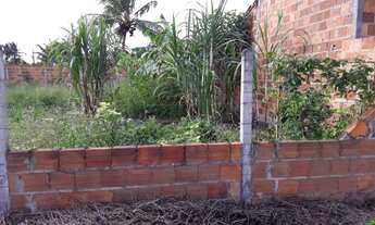 Imagem 4: Terreno em salgado