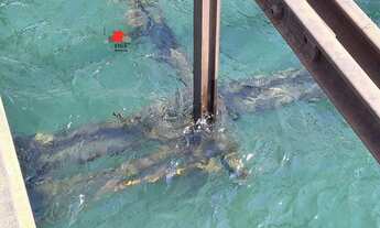 Imagem 6: Casa a venda Pq. Turístico Paranoá em Panorama/SP CA0451