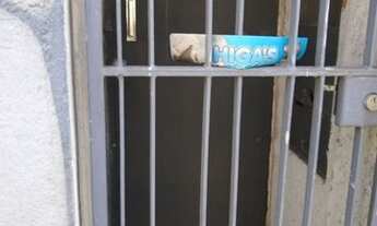 Imagem 5: Terreno para alugar, 500 m² por R$ 5.500,00/mês - Sapopemba - São Paulo/SP