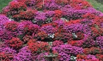 Imagem 5: Sítio Pousada, 10.000m², 15 quartos, 2 lagos, piscina, plantação café, ponto turístico