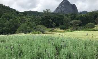 Imagem 5: O condomínio é de uma beleza impar