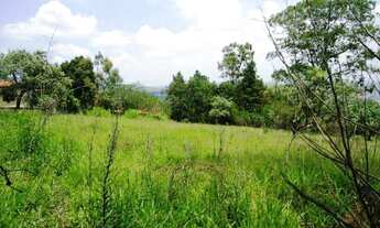 Imagem 3: Terreno Residencial à venda, Chácara das Rosas, Cotia -