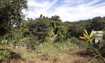 Imagem 6: Chácara próximo ao daia