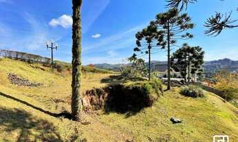 Imagem 3: Terreno à venda, 1040 m² por R$ 1.040.000,00 - Jardim das Pérolas - Campos do Jordão/SP