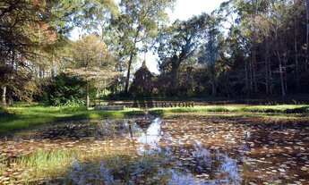 Imagem 4: Terreno à venda, 1446 m² por R$ 1.300.000,00 - Colinas Capivari - Campos do Jordão/SP